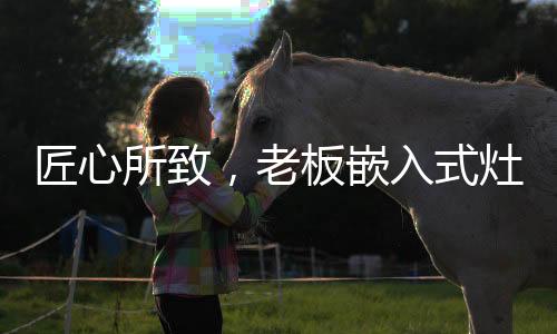 炒菜的续年销量时候火力不够