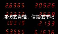 冻伤的青蛙
，停摆的市场，结冰的高速	
：湖南暴雪五日