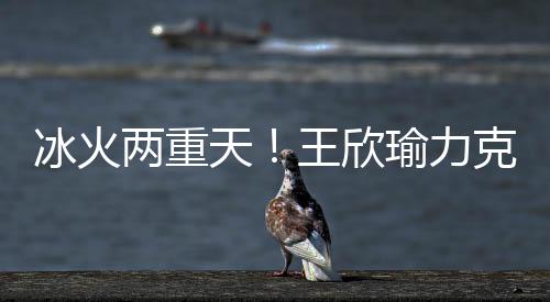 温网文爆次盘气势更旺
