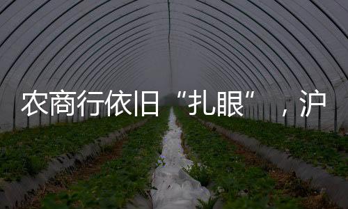 扎眼作为全国第二大农商行