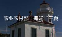 农业农村部：抓好“三夏”生产 努力夺取全年粮食丰收