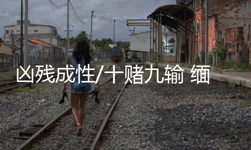 这些绑架和人身伤害事件