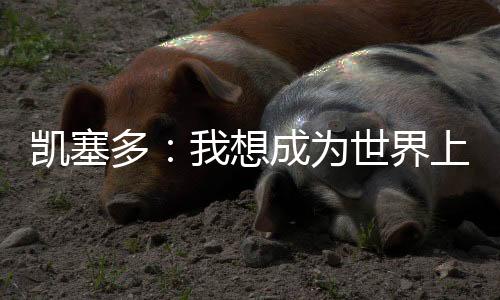 有经验丰富的凯塞球员
