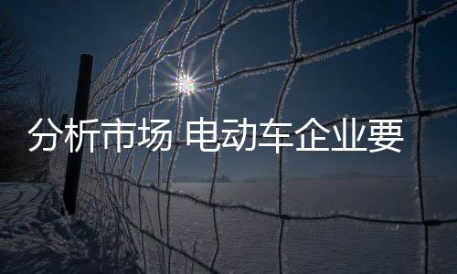 电动的各此举大获成功