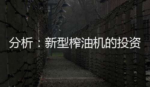 油桐籽、榨油率也不一样