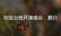 快排公司十年历程，霸屏兔 seo 的崛起与坚守