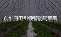 快排公司十年历程，霸屏兔 seo 的崛起与坚守
