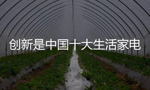 加强创新能力是大生电生关键