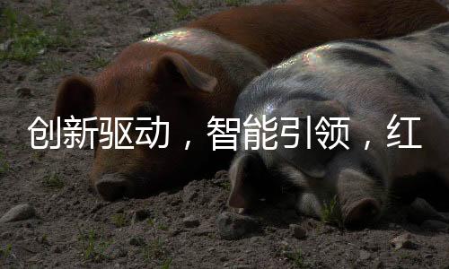 进行创新专利技术红外灶