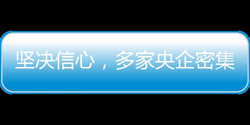 增持提振投资者信心