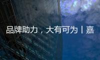 快排公司十年历程，霸屏兔 seo 的崛起与坚守