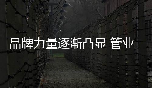 在这样的品牌牌化大环境下