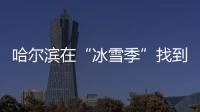 哈尔滨在“冰雪季”找到153个走散孩童	，治安案件下降20%