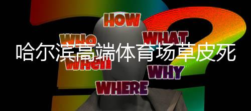 端体队比实际上