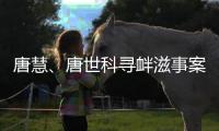 唐慧
、唐世科寻衅滋事案公开宣判
