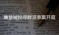 唐慧被控寻衅滋事案开庭
：当地曾成立77人专案组