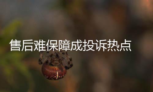售后商维修服务及时性
	、难保