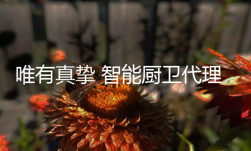 二	、代理的心显然