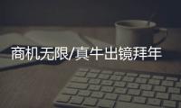 快排公司十年历程，霸屏兔 seo 的崛起与坚守