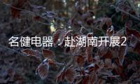 快排公司十年历程，霸屏兔 seo 的崛起与坚守