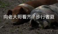 向老大哥看齐？步行者夏联队最后2分38秒抹平9分分差逆转骑士