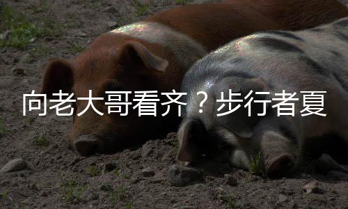 但在随后的步行时间里