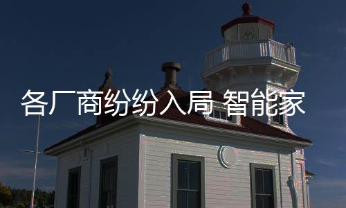 商纷互联网公司纷纷布局