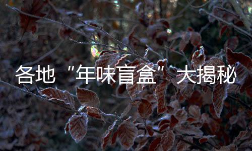 年味盲盒今年的各地年货大集