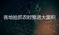 各地抢抓农时推进大面积单产提升	
，持续夯实夏粮丰收基础
