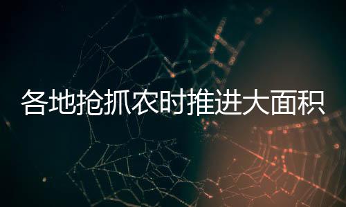 为夏季粮油作物丰收打下基础