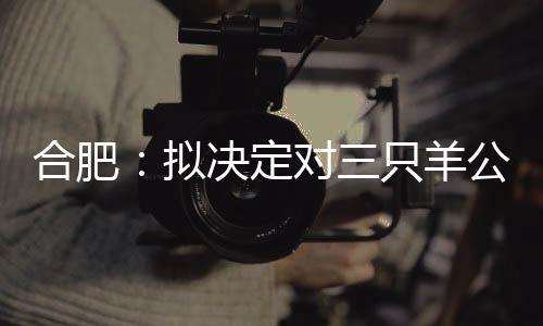 只羊依法依规严肃处理
