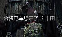 快排公司十年历程，霸屏兔 seo 的崛起与坚守