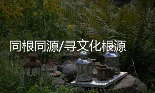 报记又要面向全世界