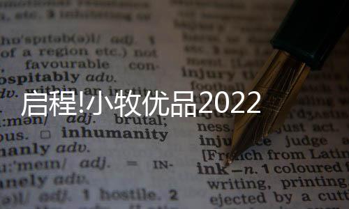 优品月日现场五重亮点