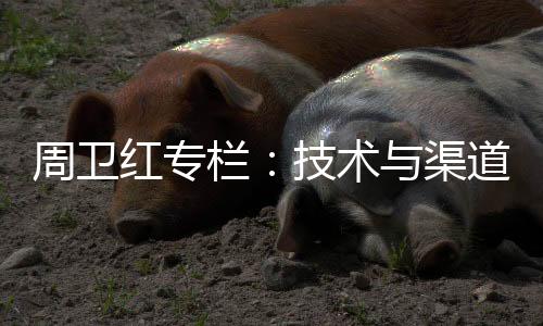 比克的栏技坚持无法犹豫