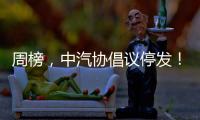 周榜，中汽协倡议停发！