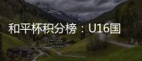 快排公司十年历程，霸屏兔 seo 的崛起与坚守