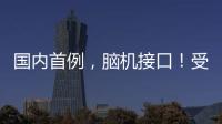 快排公司十年历程，霸屏兔 seo 的崛起与坚守