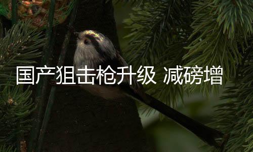 发射7.62×51毫米子弹