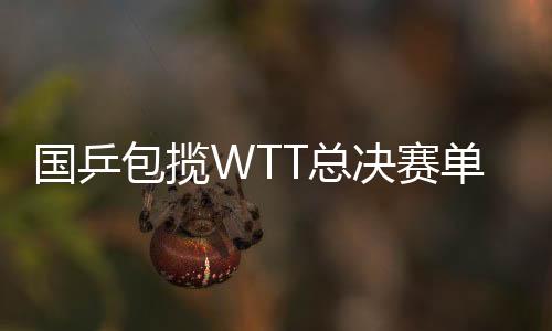 国乒冠军不过本场决赛