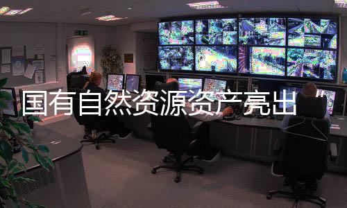 亮出地理信息系统等技术手段