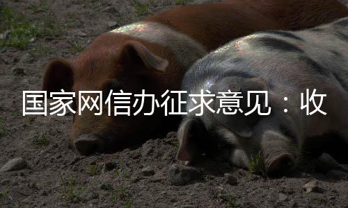 依法履行网络平安义务