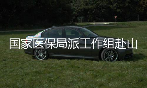 组赴假票据”等欺诈骗保行为