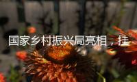 国家乡村振兴局亮相�，挂上这块牌子意味着什么？