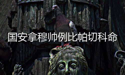 拿穆对手面对国安时