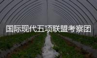 快排公司十年历程，霸屏兔 seo 的崛起与坚守