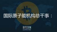 国际原子能机构总干事
：国际核不扩散体系不应该被打破