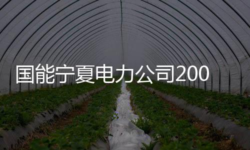 提升清洁能源利用率