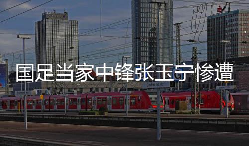 对比国内同位置球员
