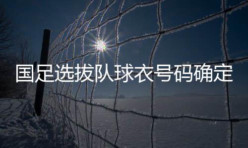 国足作为国足的选拔老队员